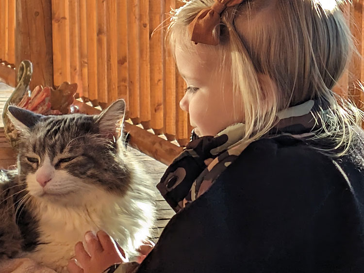 On Dogs And Cats - Their Place On The Ranch - Jan 2001